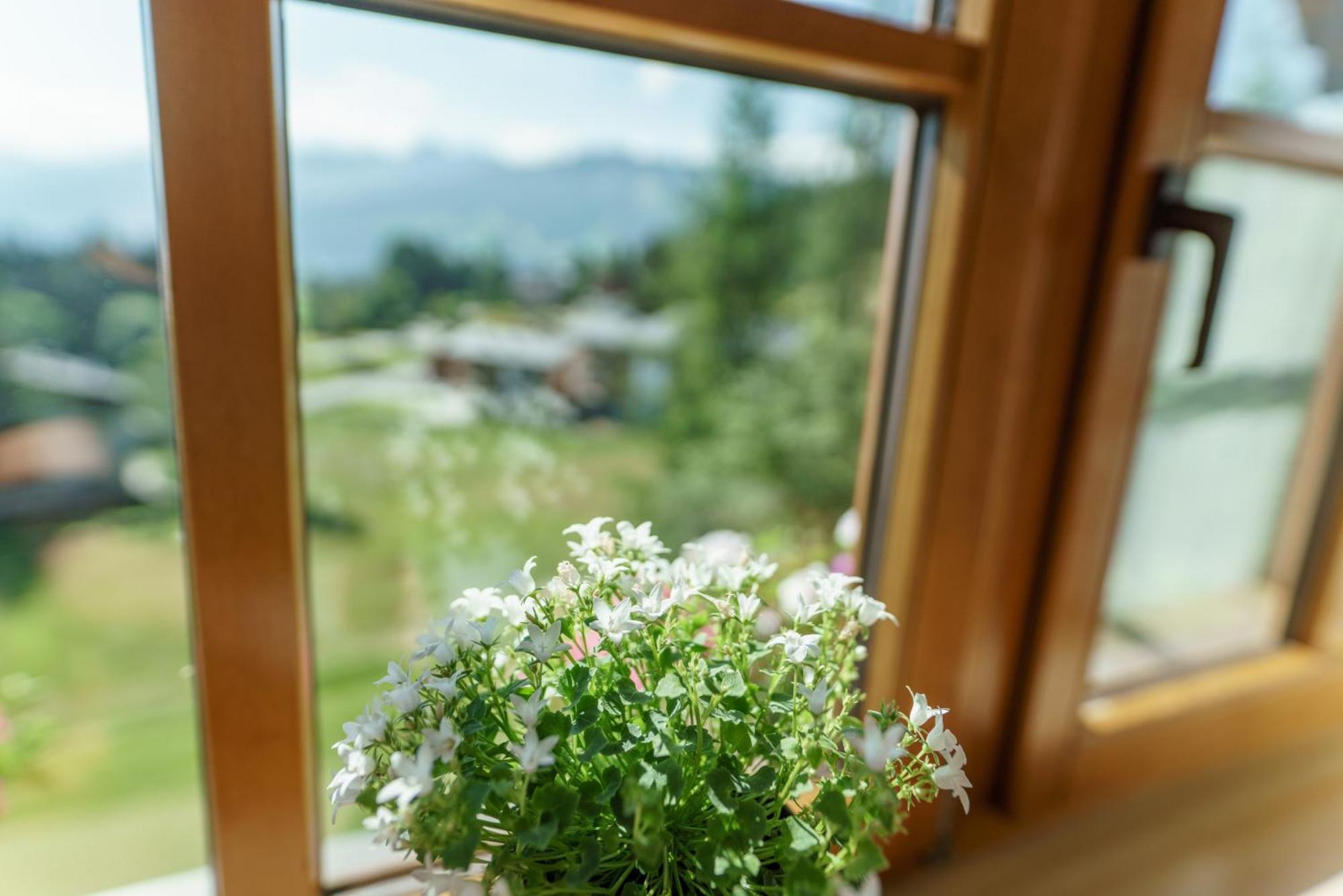 Landhaus Birgbichler - Apartments In Ramsau Am Dachstein - Inklusive Sommercard! Exterior photo